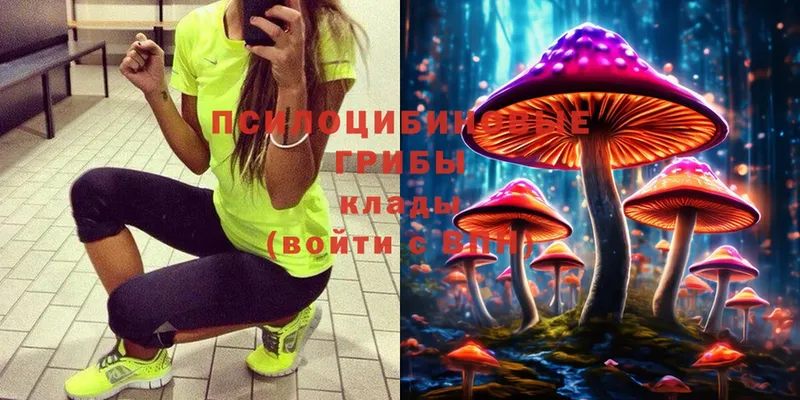 гидра как войти  мориарти телеграм  Галлюциногенные грибы Magic Shrooms  Анадырь 